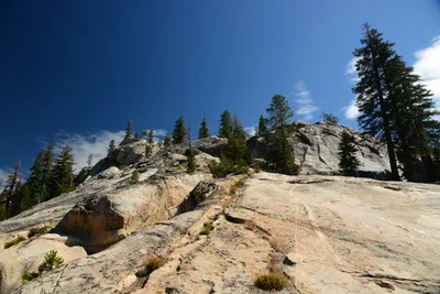 DSC_0183 (Large).JPG